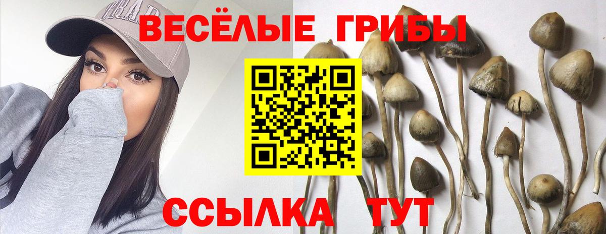 Псилоцибиновые грибы MAGIC MUSHROOMS Новоуральск