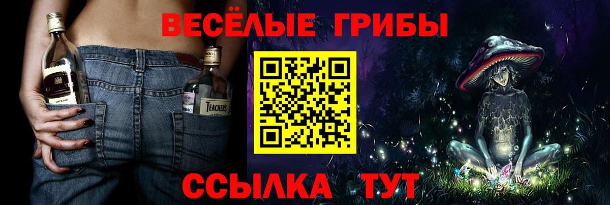 Галлюциногенные грибы MAGIC MUSHROOMS  Галлюциногенные грибы мицелий  Новоуральск  Вход с VPN 